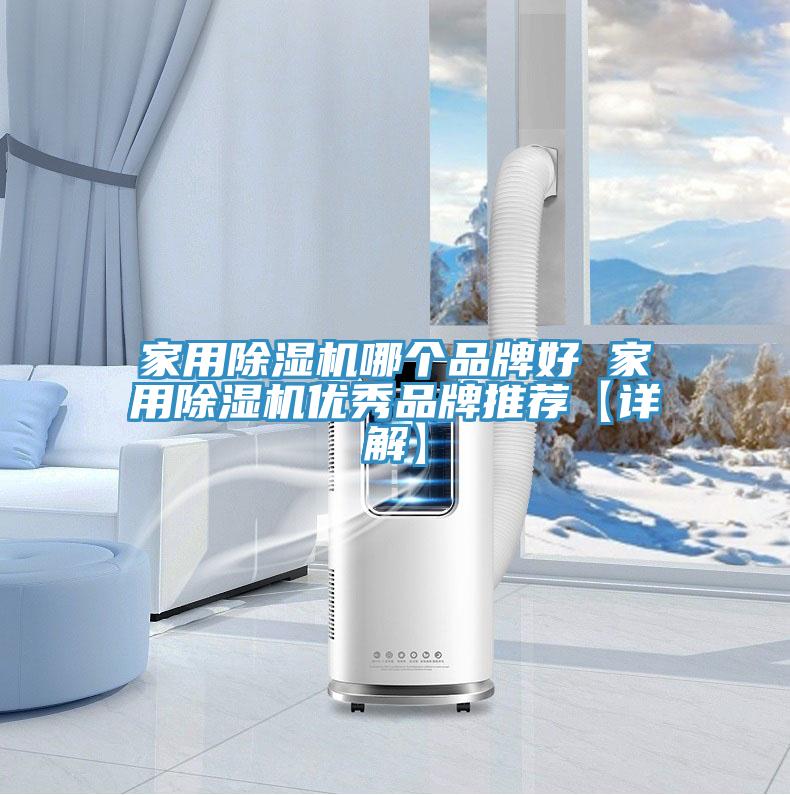 家用除湿机哪个品牌好 家用除湿机优秀品牌推荐【详解】
