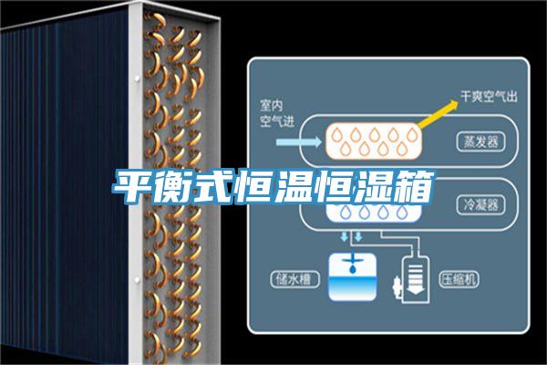 平衡式恒温恒湿箱