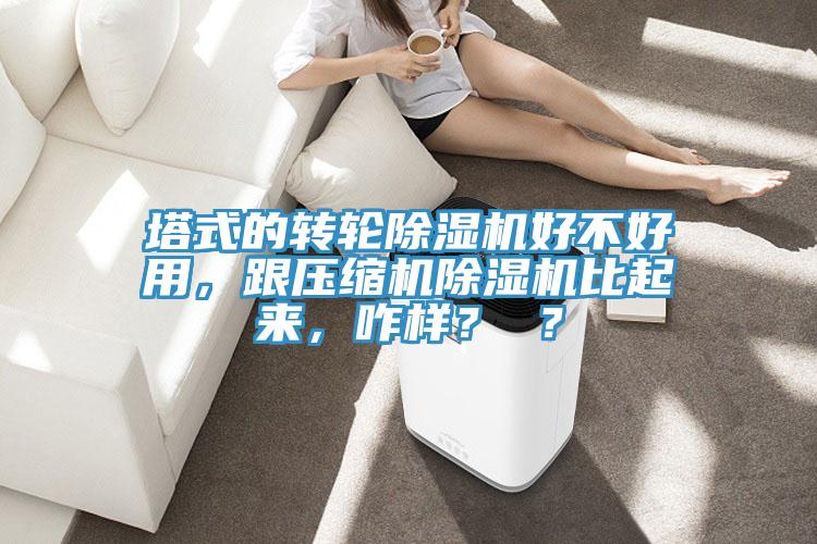 塔式的转轮除湿机好不好用，跟压缩机除湿机比起来，咋样？ ？