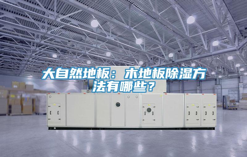 大自然地板：木地板除湿方法有哪些？