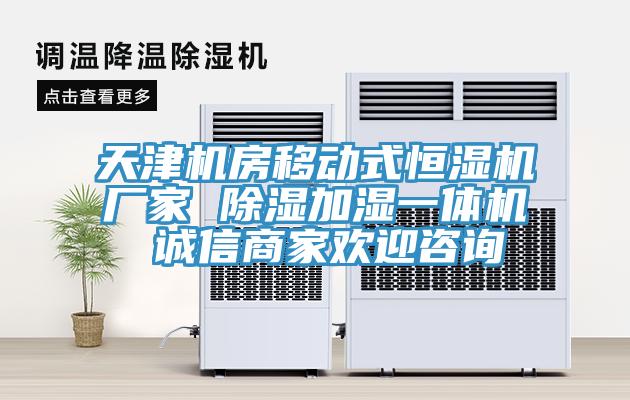 天津机房移动式恒湿机厂家 除湿加湿一体机 诚信商家欢迎咨询