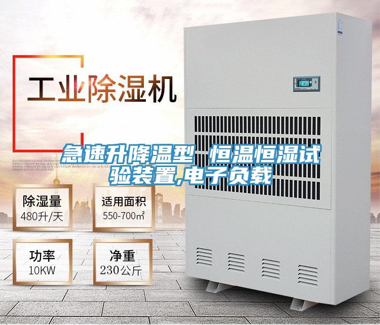 急速升降温型 恒温恒湿试验装置,电子负载