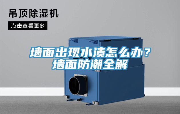 墙面出现水渍怎么办？墙面防潮全解