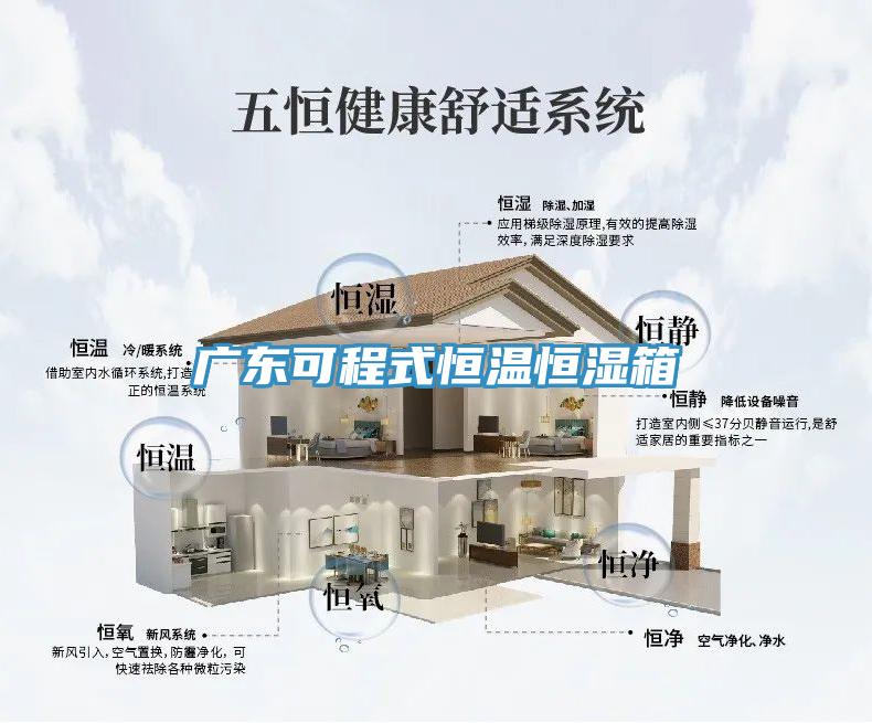 广东可程式恒温恒湿箱