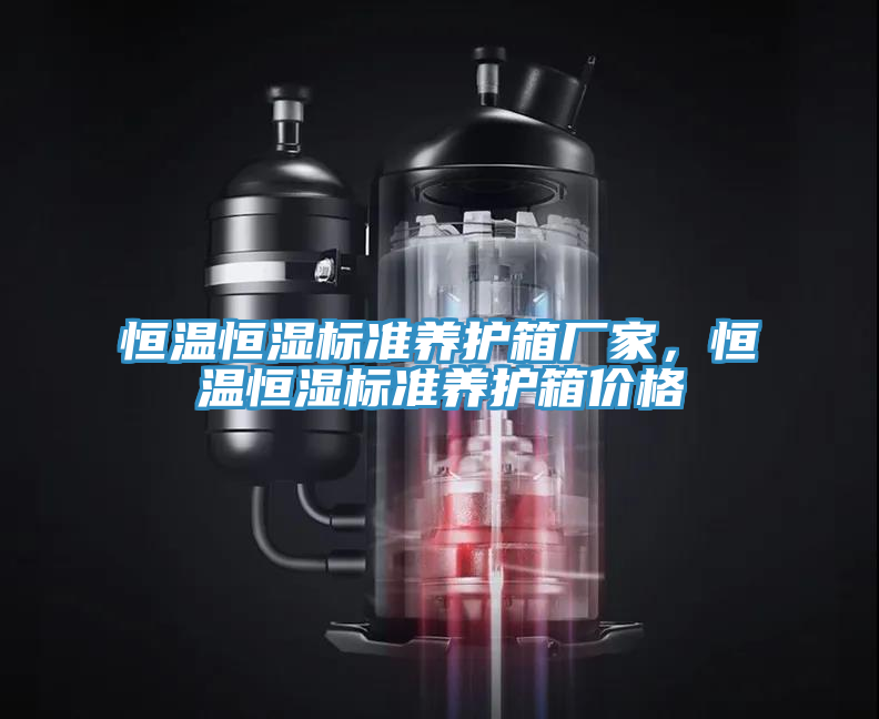恒温恒湿标准养护箱厂家，恒温恒湿标准养护箱价格