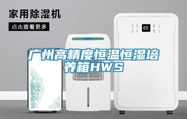 广州高精度恒温恒湿培养箱HWS
