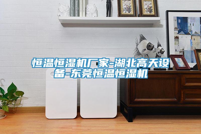 恒温恒湿机厂家-湖北高天设备-东莞恒温恒湿机