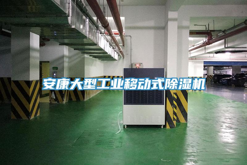 安康大型工业移动式除湿机
