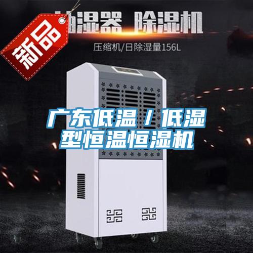 广东低温／低湿型恒温恒湿机