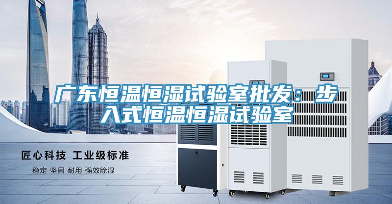广东恒温恒湿试验室批发：步入式恒温恒湿试验室