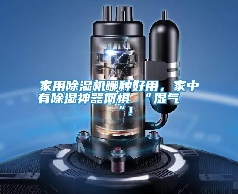 家用除湿机哪种好用，家中有除湿神器何惧 “湿气 “！