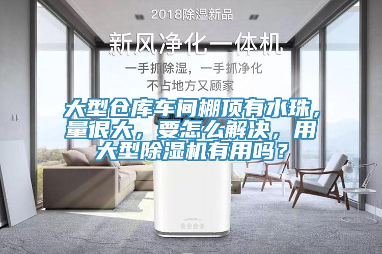 大型仓库车间棚顶有水珠，量很大，要怎么解决，用大型除湿机有用吗？