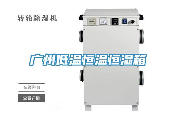 广州低温恒温恒湿箱