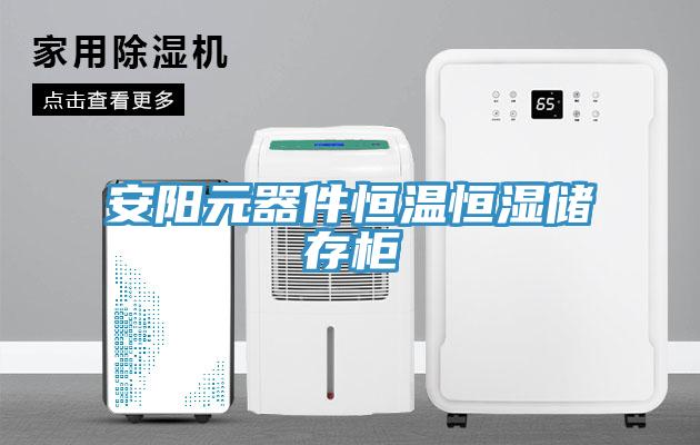 安阳元器件恒温恒湿储存柜