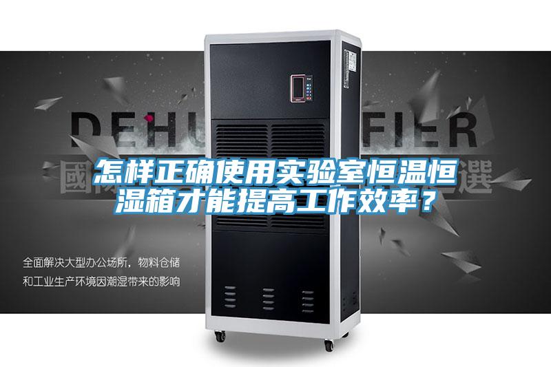 怎样正确使用实验室恒温恒湿箱才能提高工作效率？