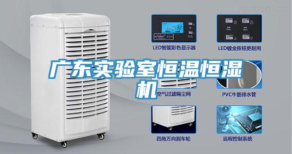 广东实验室恒温恒湿机