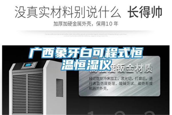 广西象牙白可程式恒温恒湿仪