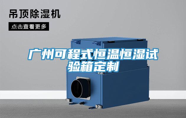广州可程式恒温恒湿试验箱定制