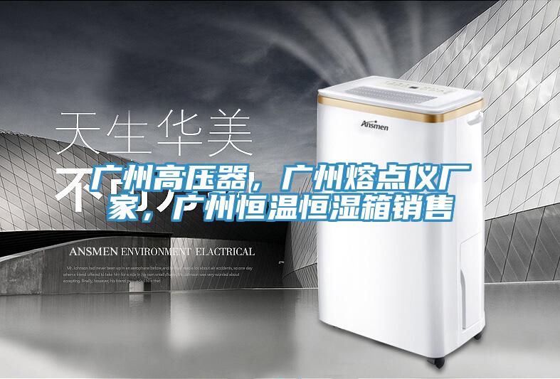 广州高压器，广州熔点仪厂家，广州恒温恒湿箱销售