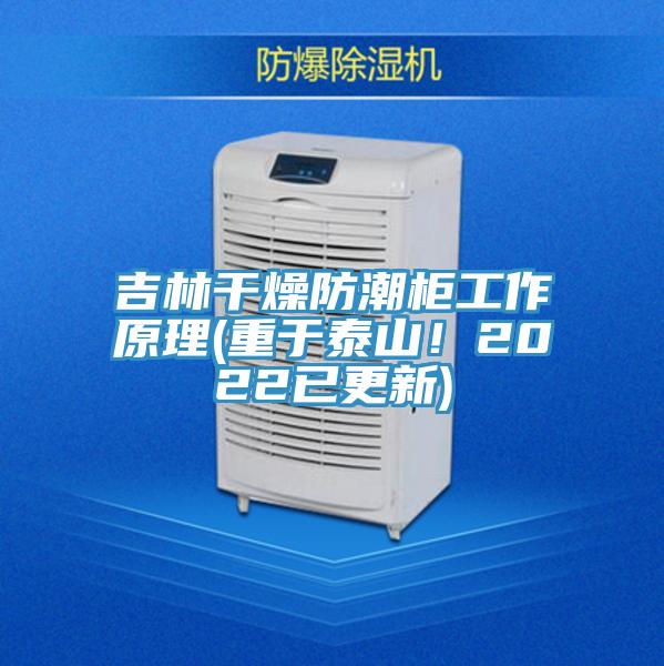 吉林干燥防潮柜工作原理(重于泰山！2022已更新)