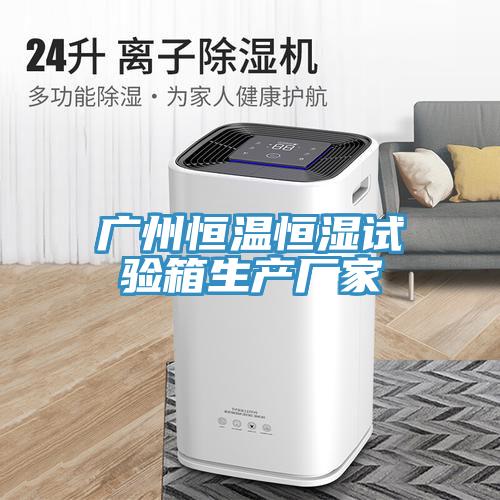 广州恒温恒湿试验箱生产厂家