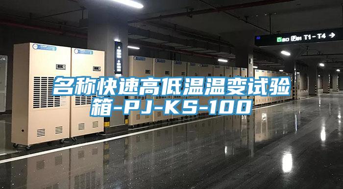 名称快速高低温温变试验箱-PJ-KS-100