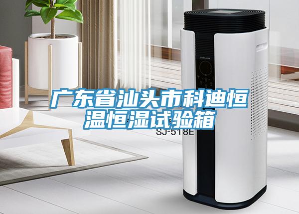 广东省汕头市科迪恒温恒湿试验箱