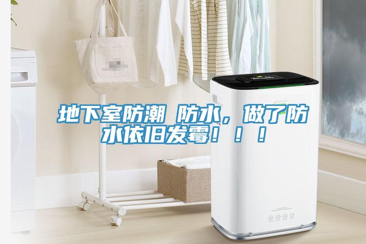 地下室防潮≠防水，做了防水依旧发霉！！！