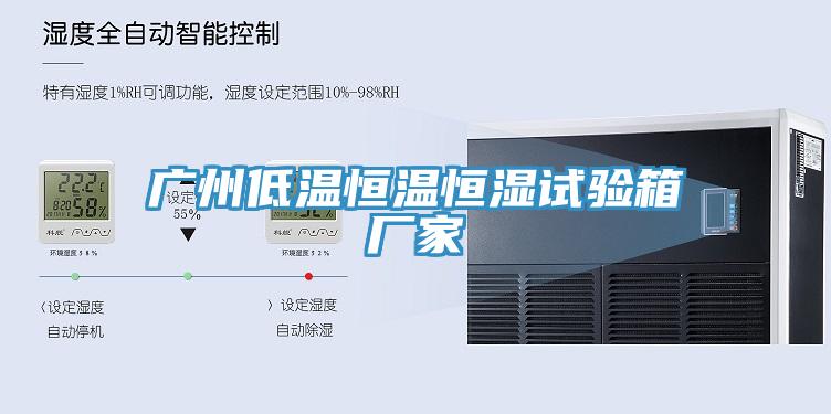 广州低温恒温恒湿试验箱厂家