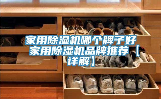 家用除湿机哪个牌子好 家用除湿机品牌推荐【详解】