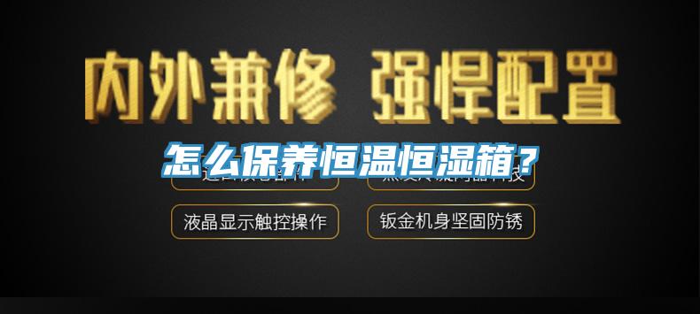 怎么保养恒温恒湿箱？