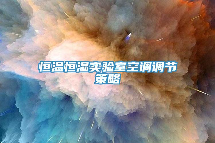 恒温恒湿实验室空调调节策略