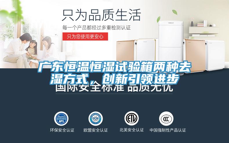 广东恒温恒湿试验箱两种去湿方式，创新引领进步