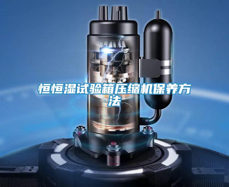 恒恒湿试验箱压缩机保养方法