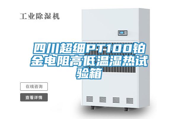 四川超细PT100铂金电阻高低温湿热试验箱