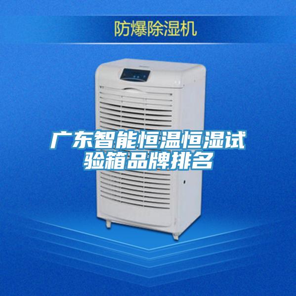 广东智能恒温恒湿试验箱品牌排名