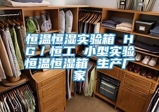 恒温恒湿实验箱 HG／恒工 小型实验恒温恒湿箱 生产厂家
