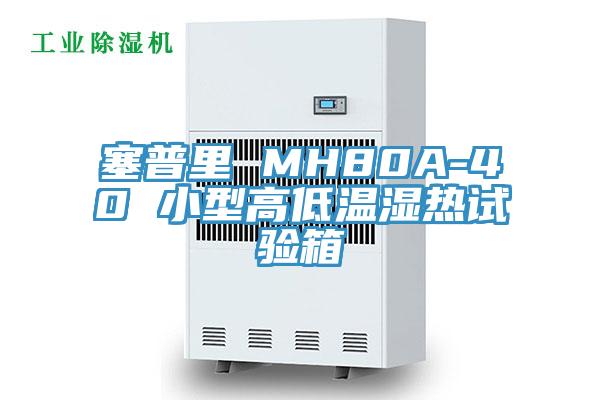 塞普里 MH80A-40 小型高低温湿热试验箱