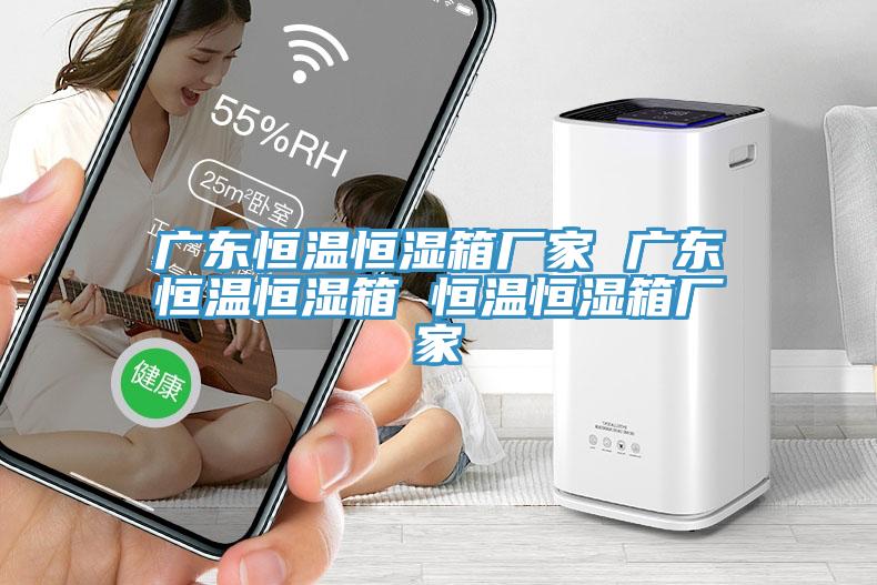 广东恒温恒湿箱厂家 广东恒温恒湿箱 恒温恒湿箱厂家