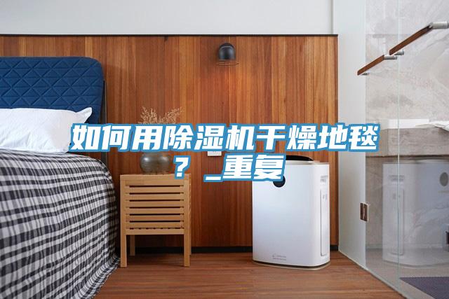 如何用除湿机干燥地毯?_重复