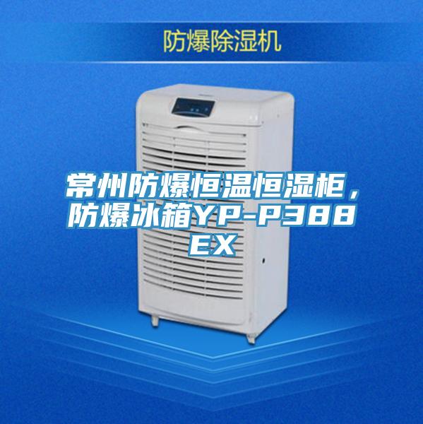 常州防爆恒温恒湿柜，防爆冰箱YP-P388EX