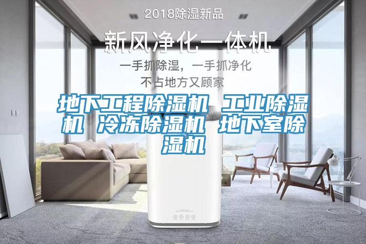 地下工程除湿机 工业除湿机 冷冻除湿机 地下室除湿机
