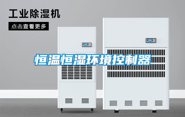 恒温恒湿环境控制器