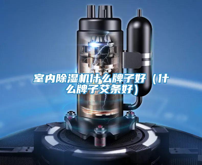 室内除湿机什么牌子好（什么牌子艾条好）