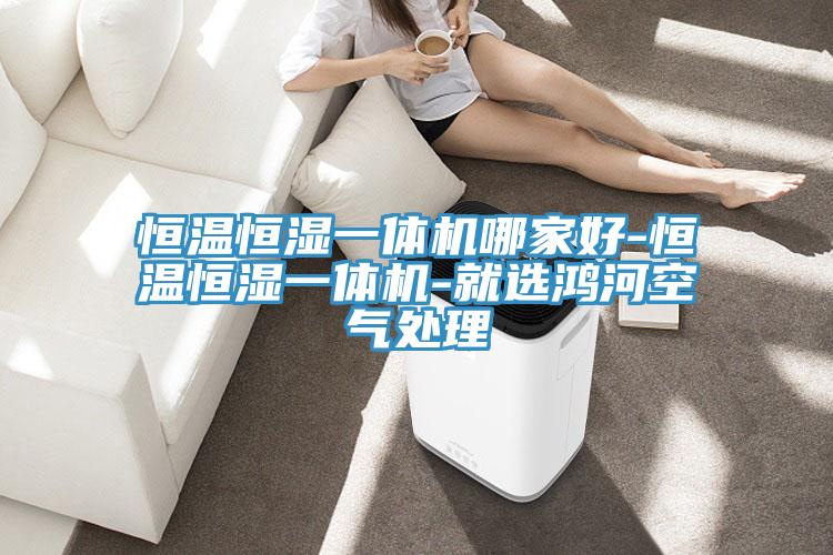 恒温恒湿一体机哪家好-恒温恒湿一体机-就选鸿河空气处理