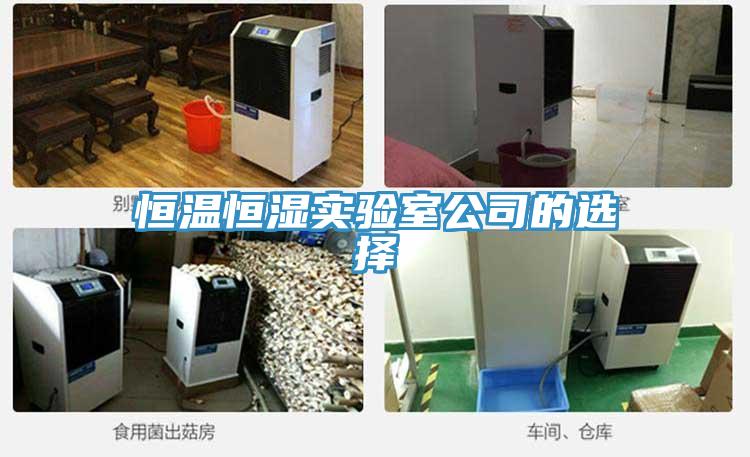 恒温恒湿实验室公司的选择