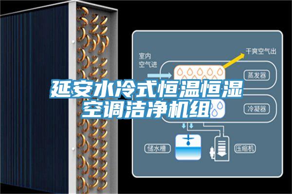 延安水冷式恒温恒湿空调洁净机组