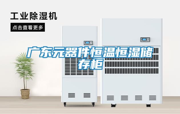 广东元器件恒温恒湿储存柜