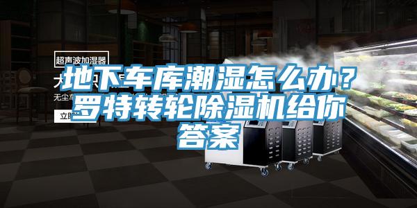 地下车库潮湿怎么办？罗特转轮除湿机给你答案