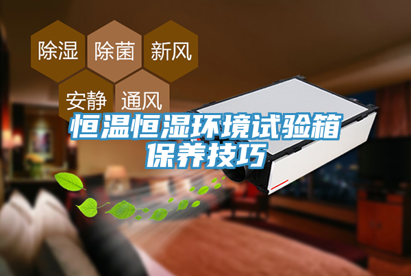 恒温恒湿环境试验箱保养技巧